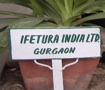 Site de production IFETURA à Gurgaon 122001 HRY.(India)