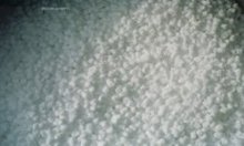 Broyage de tous les produits (élastomères, matières plastiques, produits alimentaires, minéraux, chimiques, végétaux, pharmaceutiques) sous plusieurs formes (morceaux, grains, écailles, granulés)